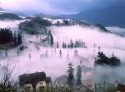 Sapa tours