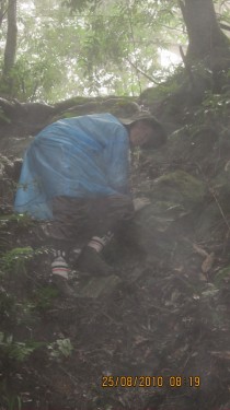 climb up on the track