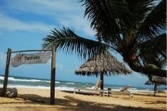 Thanh Kieu Coco Beach Resort