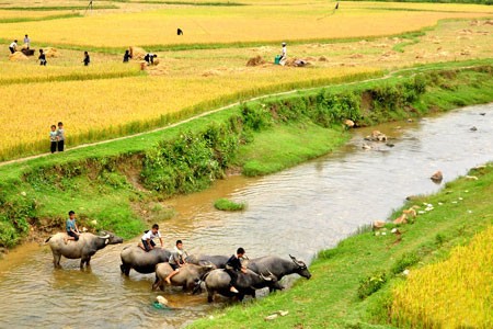Ta Van village