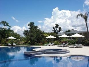 Ginger Garden Pool