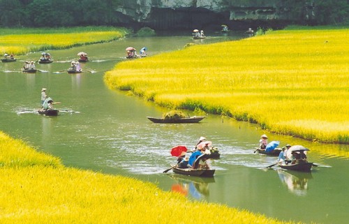Tam Coc Rowing Boat