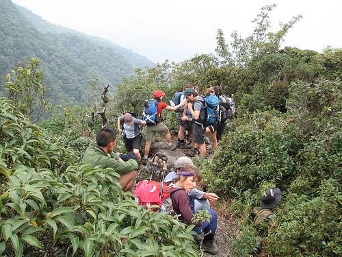 Fansipan mountain trekking 