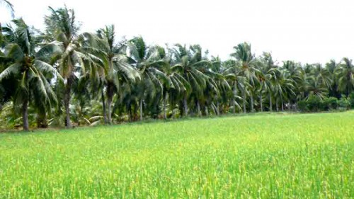 Ben Tre