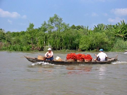 Life on Mekong delta river