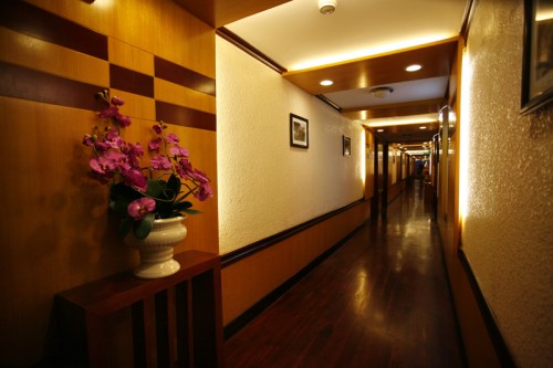 The path on the emotion cruise