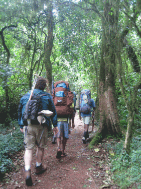 Cuc Phuong national park trekking