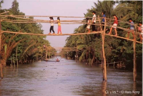 Mekong delta Vietnam