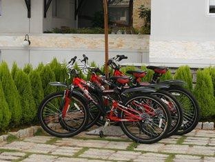 Bicycle For rent