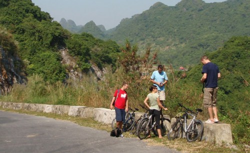 Paradise Cruise Halong bay - Biking in Cat Ba