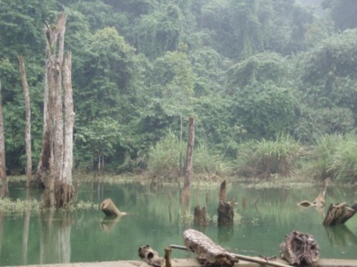 Lake in cuc Phuong national park
