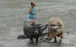  Siem Reap to Saigon tour 8 days, RV La Marguerite cruise