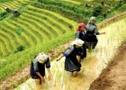 Northern Vietnam tour 11 days